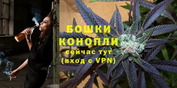 гидра Баксан