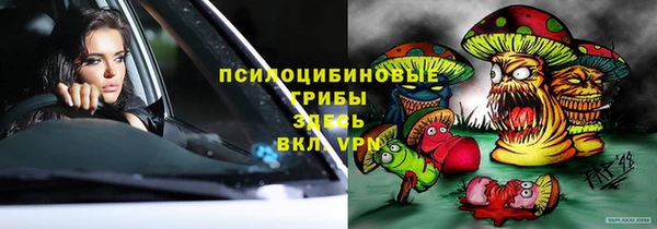 ГАЛЛЮЦИНОГЕННЫЕ ГРИБЫ Балабаново