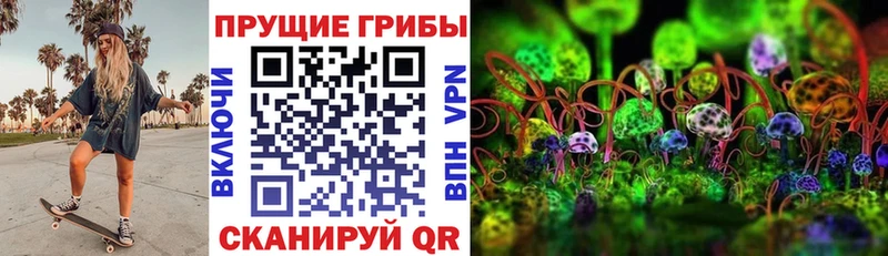 Галлюциногенные грибы ЛСД Спасск-Рязанский